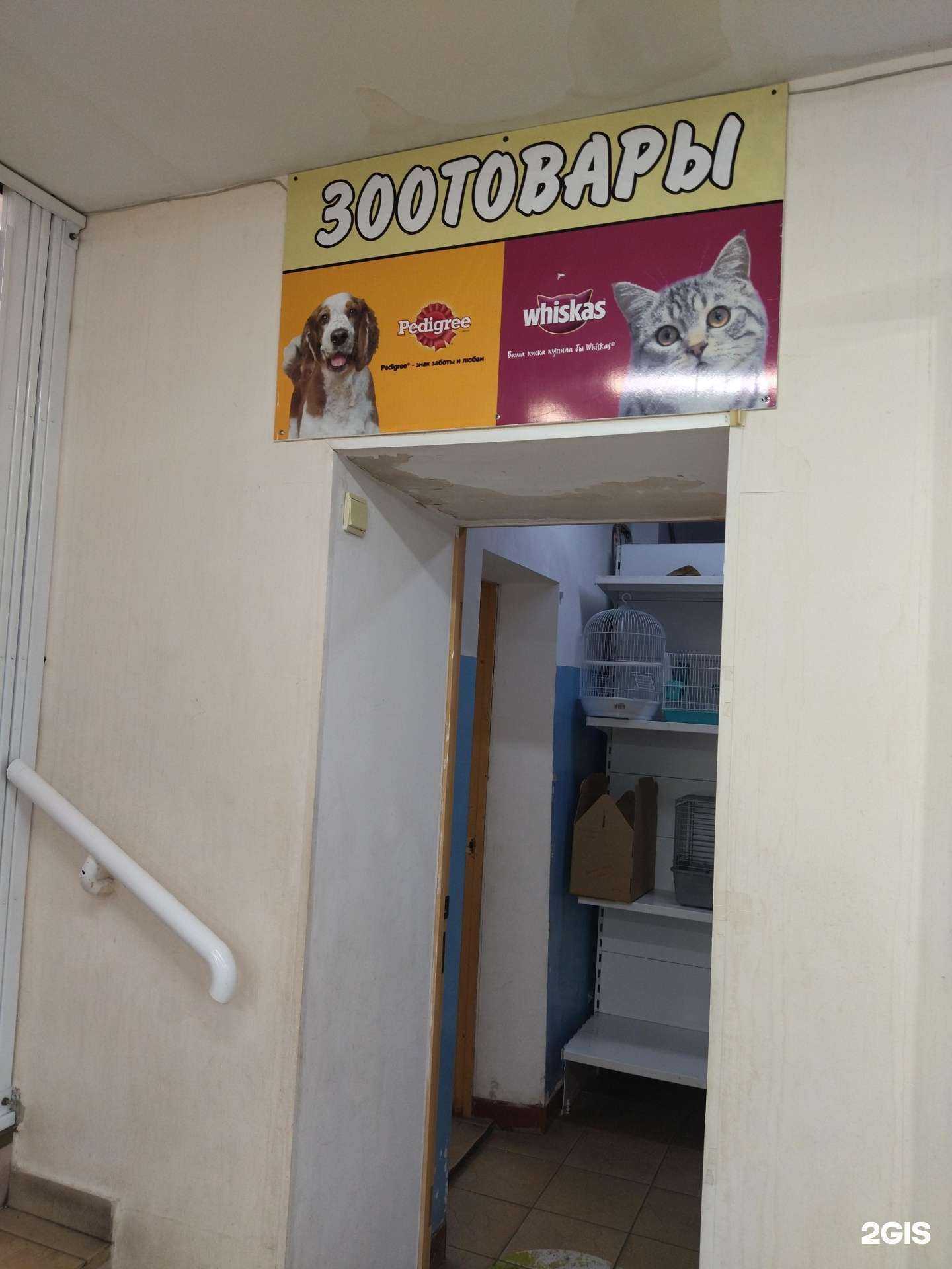 Отзывы на компанию Магазин зоотоваров в г. Междуреченск c фото