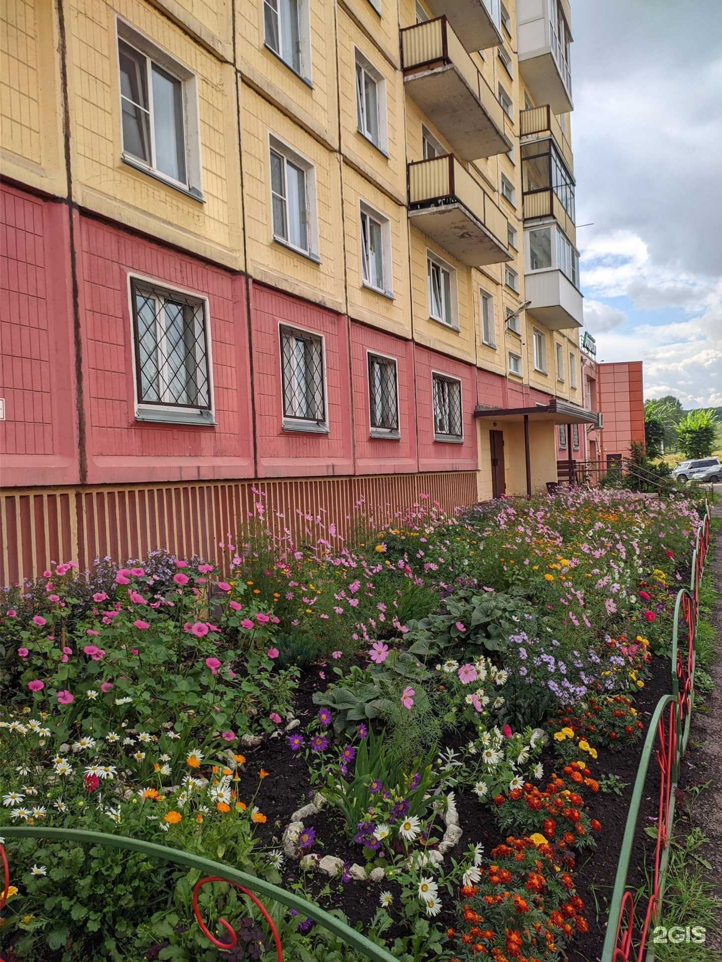 Отзывы на компанию Englishmania в Новокузнецке c фото - фотография 2 из 2