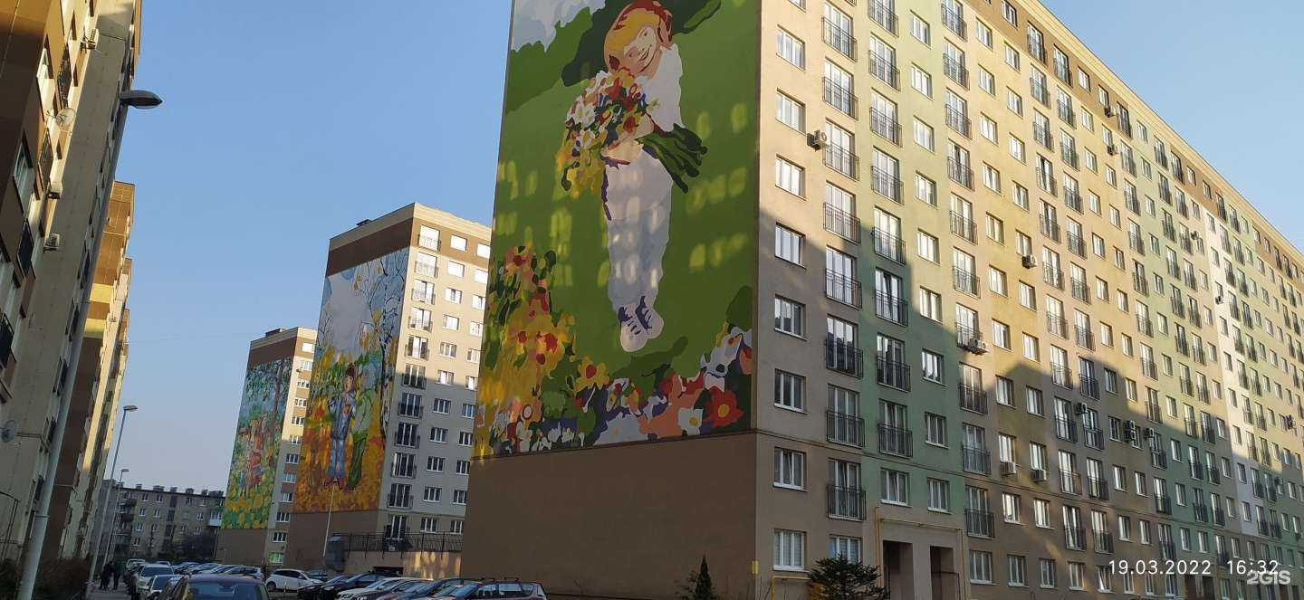 Отзывы на компанию iv-studio в Калининграде c фото - фотография 2 из 2