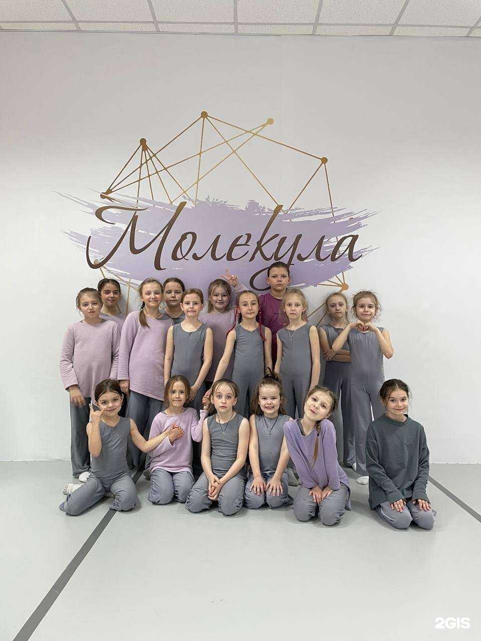 Отзывы на компанию Молекула в г. Красноярск c фото