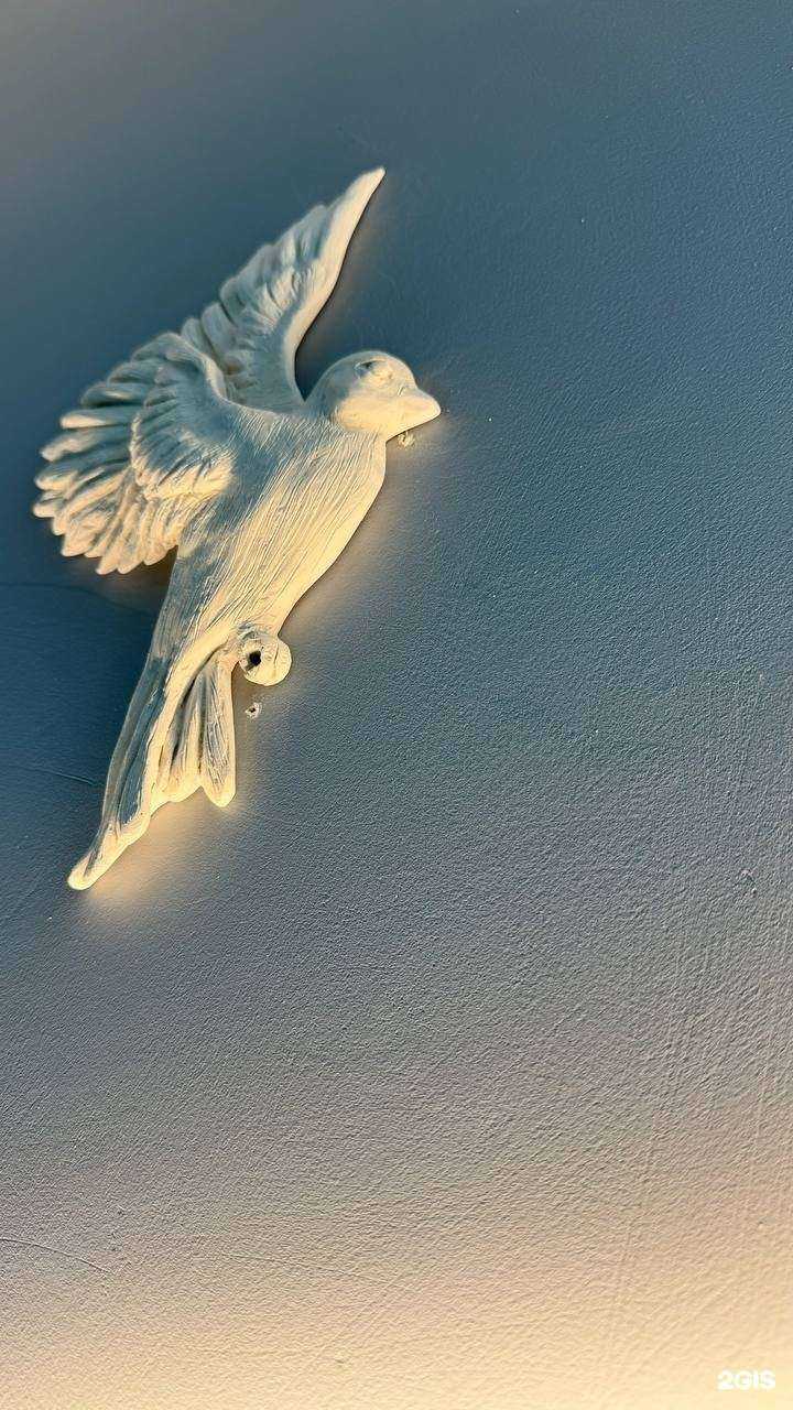 Отзывы на компанию LeFitness в Казани c фото