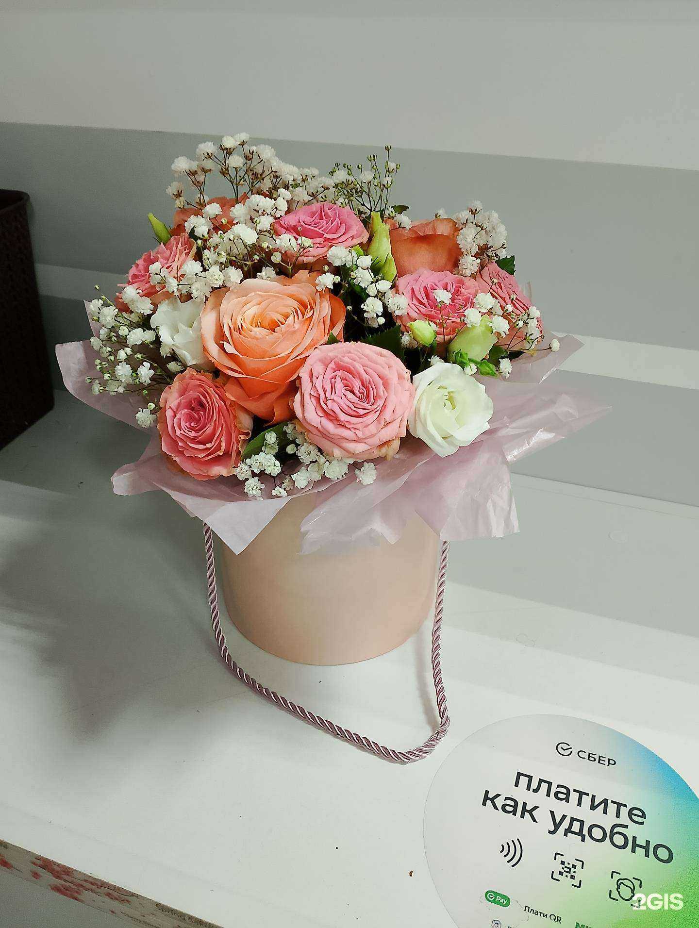 Отзывы на компанию Sakura в г. Томск c фото