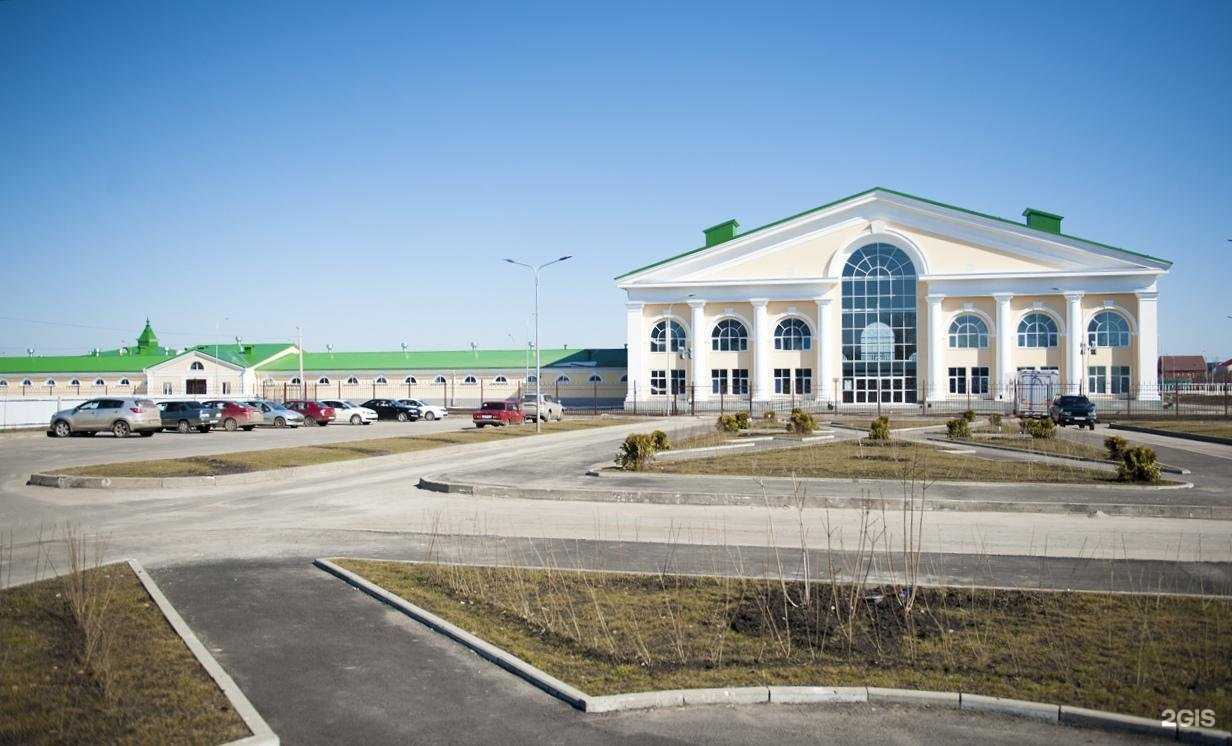 Отзывы на компанию Конноспортивная школа Курской области в Курске c фото - фотография 2 из 2