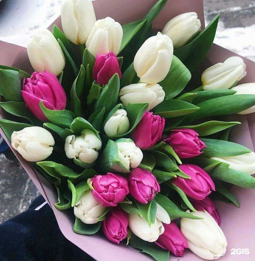 Отзывы на компанию Цветочная флоренция в Новосибирске c фото