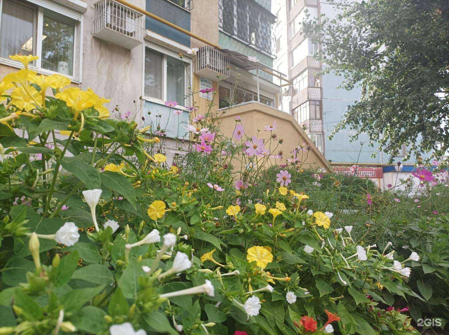 Отзывы на компанию ЛК-Дент в г. Новокуйбышевск c фото