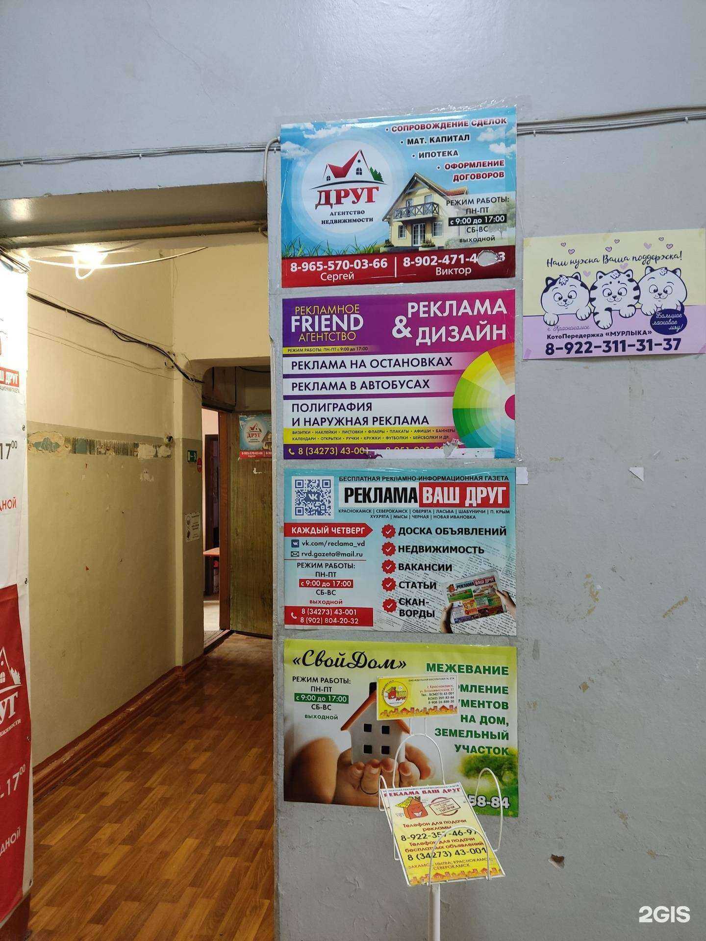 Отзывы на компанию Друг в г. Краснокамск c фото