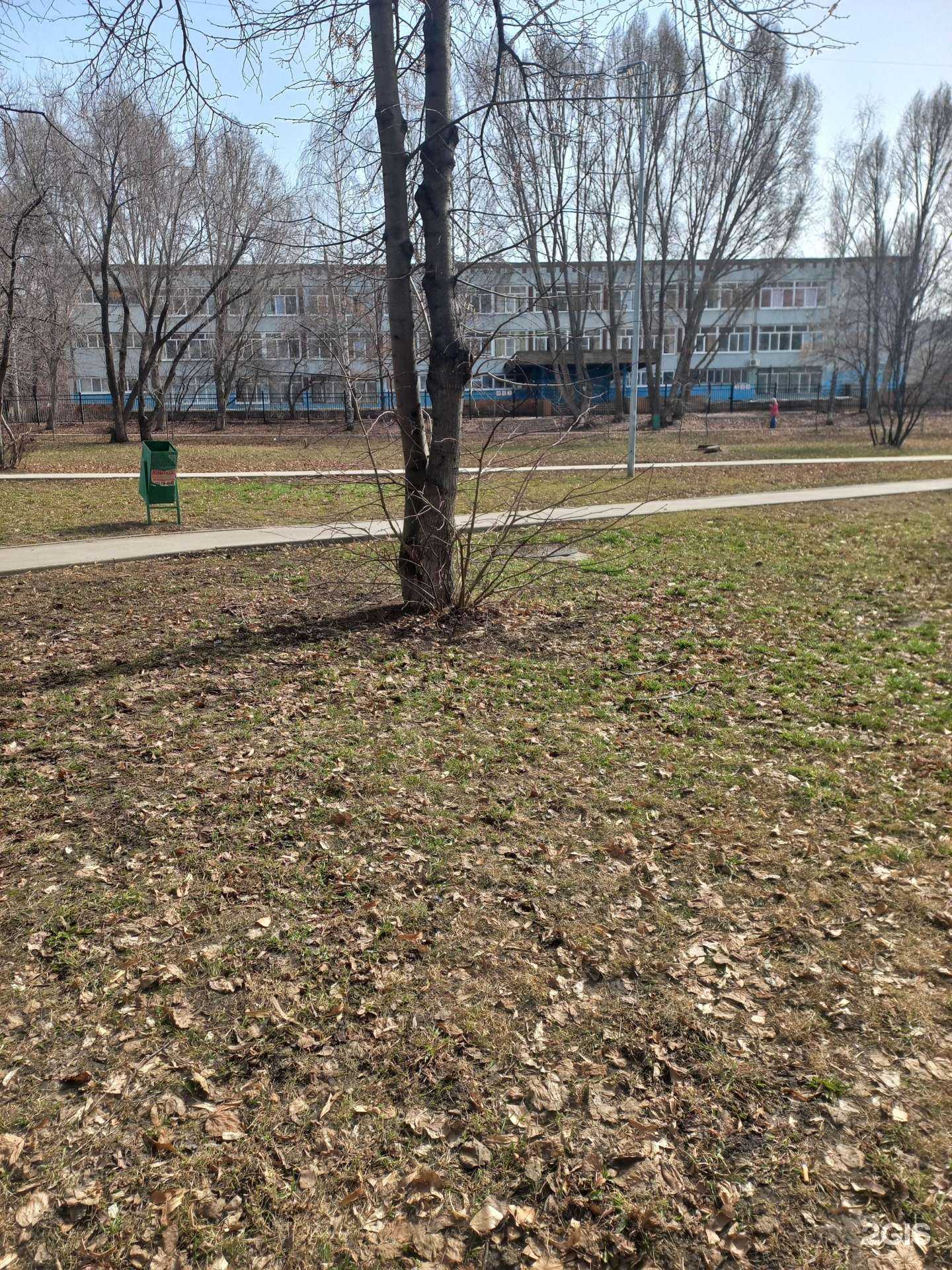 Отзывы на компанию Детская школа искусств № 5 г. Самара в г. Самара c фото