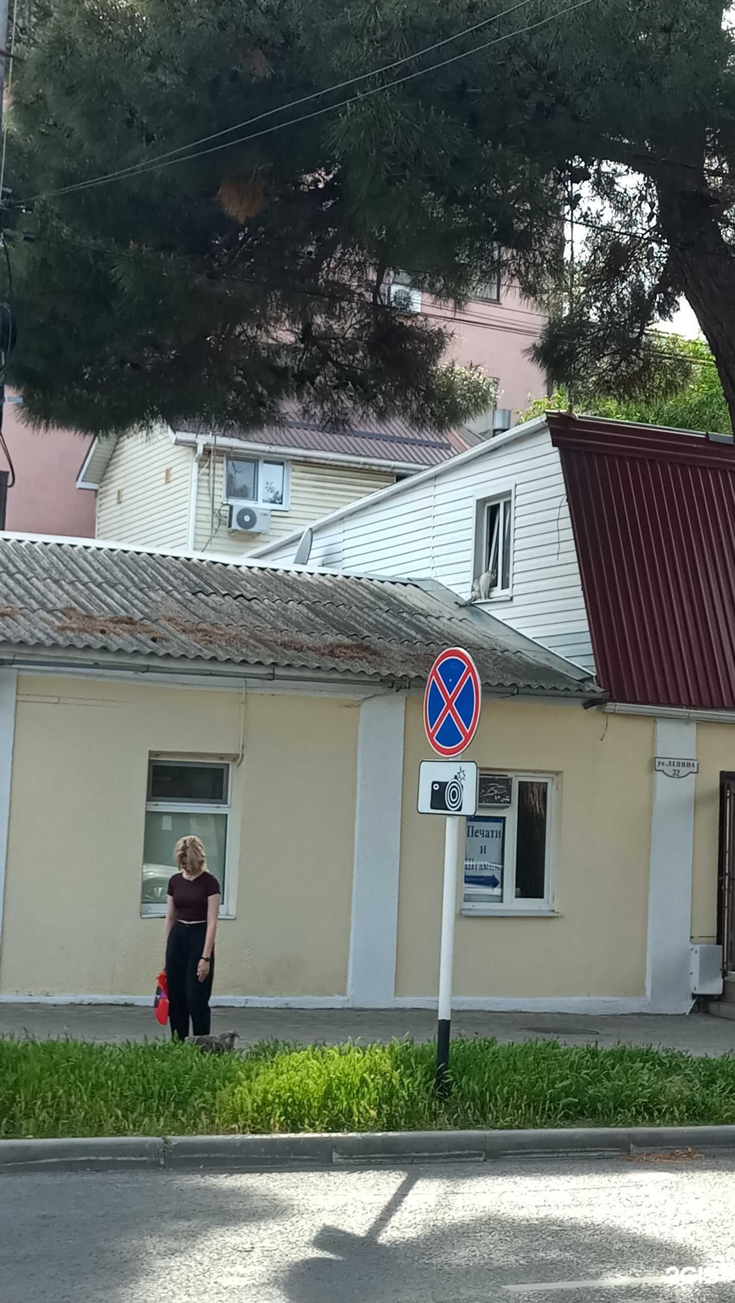 Отзывы на компанию Бюро переводов в г. Анапа c фото