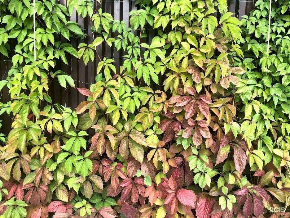 Отзывы на компанию Профильный Вектор в Нижнем Новгороде c фото