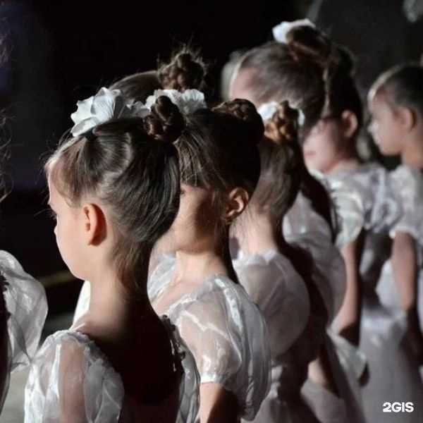 Отзывы на компанию Принцесса в г. Новосибирск c фото