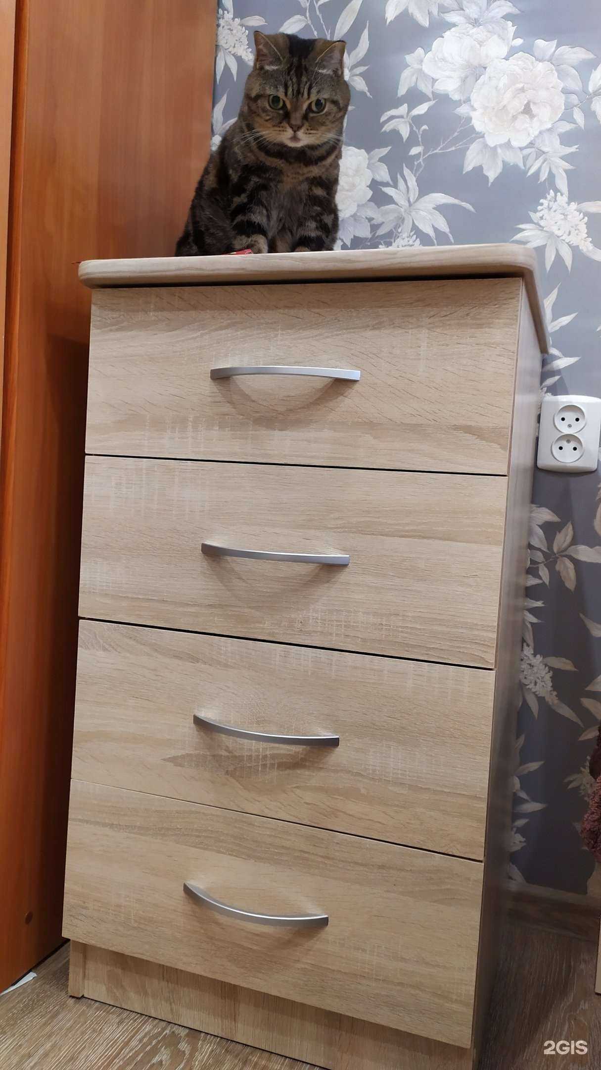 Отзывы на компанию Эко в Березниках c фото