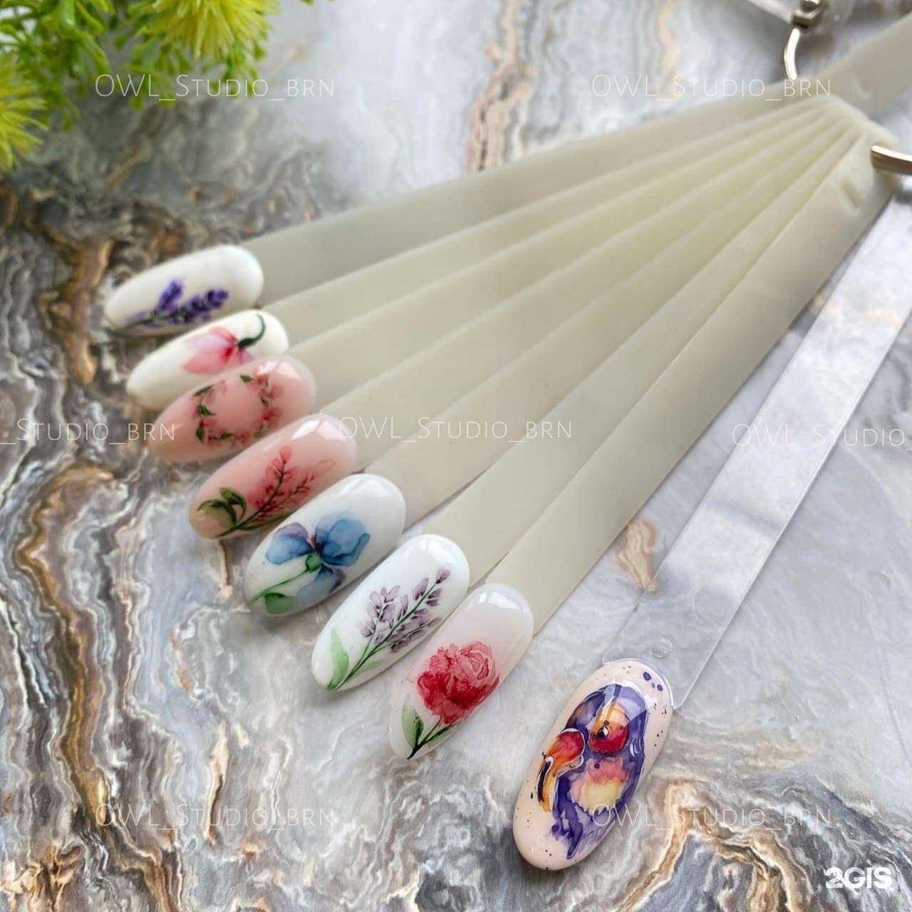 Отзывы на компанию Owl studio в Барнауле c фото