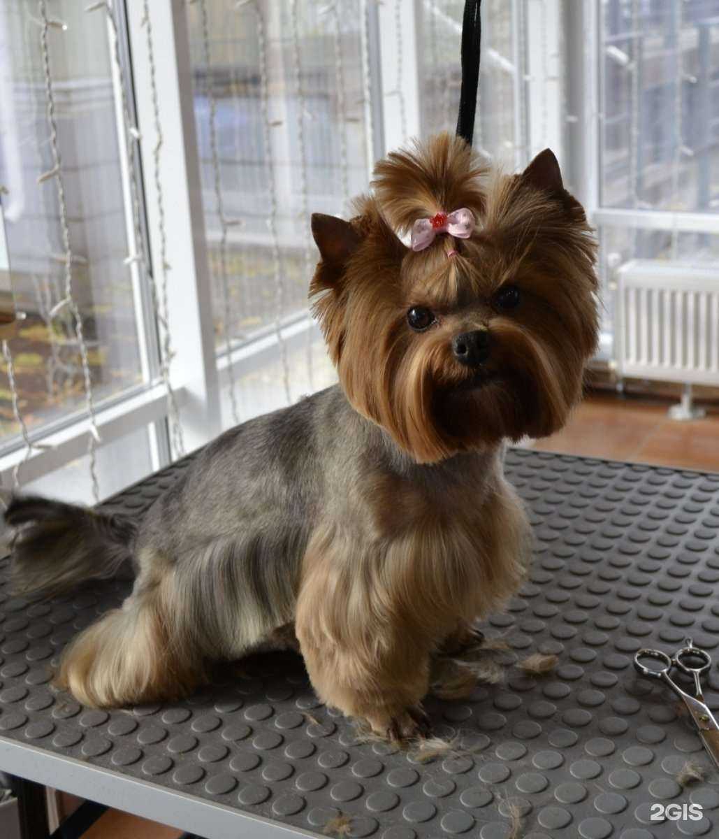 Отзывы на компанию Гламурка в Вологде c фото