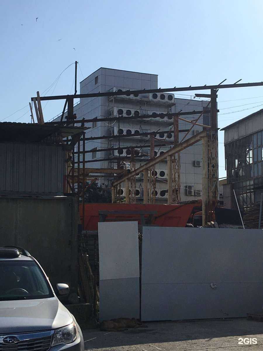 Отзывы на компанию Международная академия гештальта в Сочи c фото