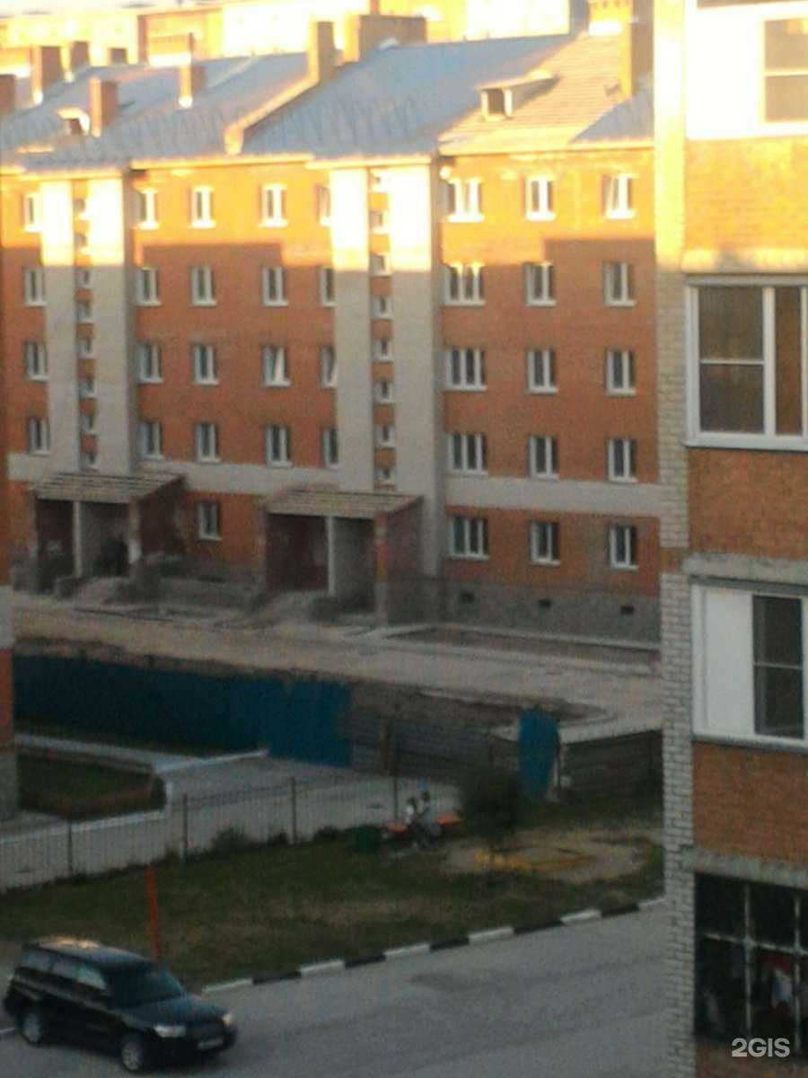 Отзывы на компанию Котопес в Искитиме c фото - фотография 2 из 2