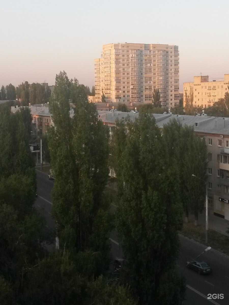 Отзывы на компанию Classic.Fit в Воронеже c фото - фотография 2 из 2