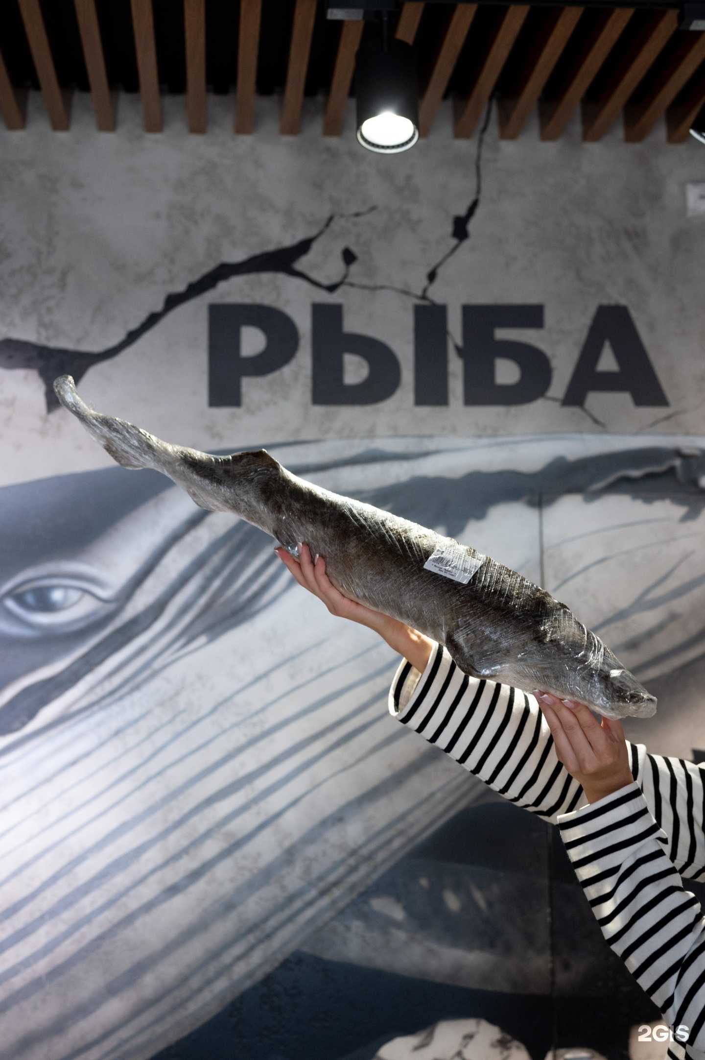 Отзывы на компанию Рыба-Кит в Сургуте c фото