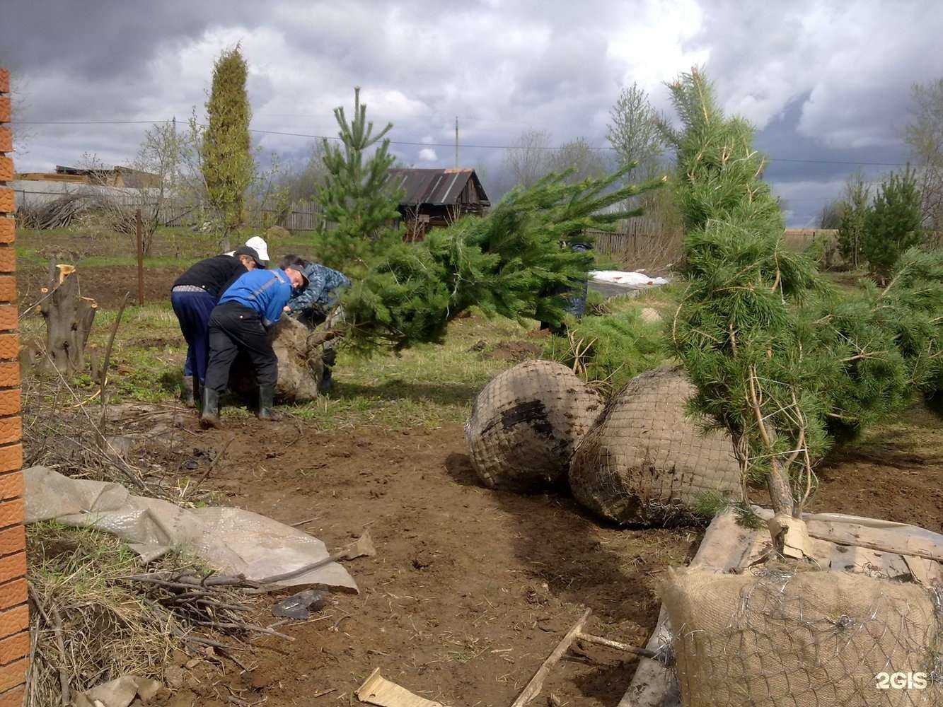Отзывы на компанию Ландшафт. Дизайн в Перми c фото