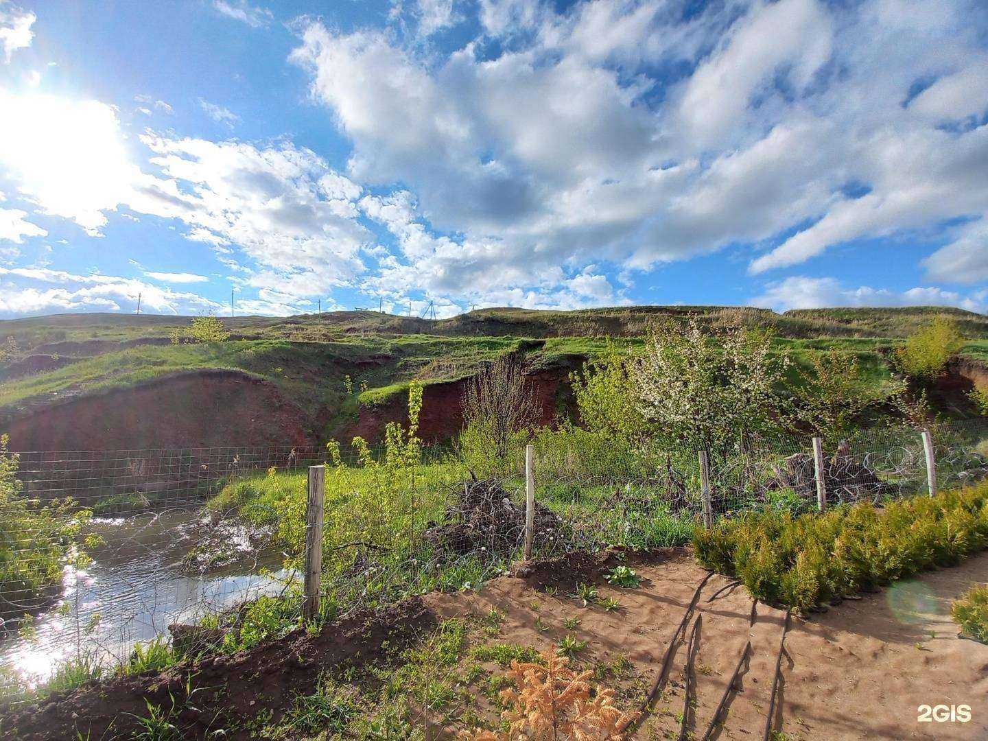 Отзывы на компанию Ботаника в Октябрьском c фото