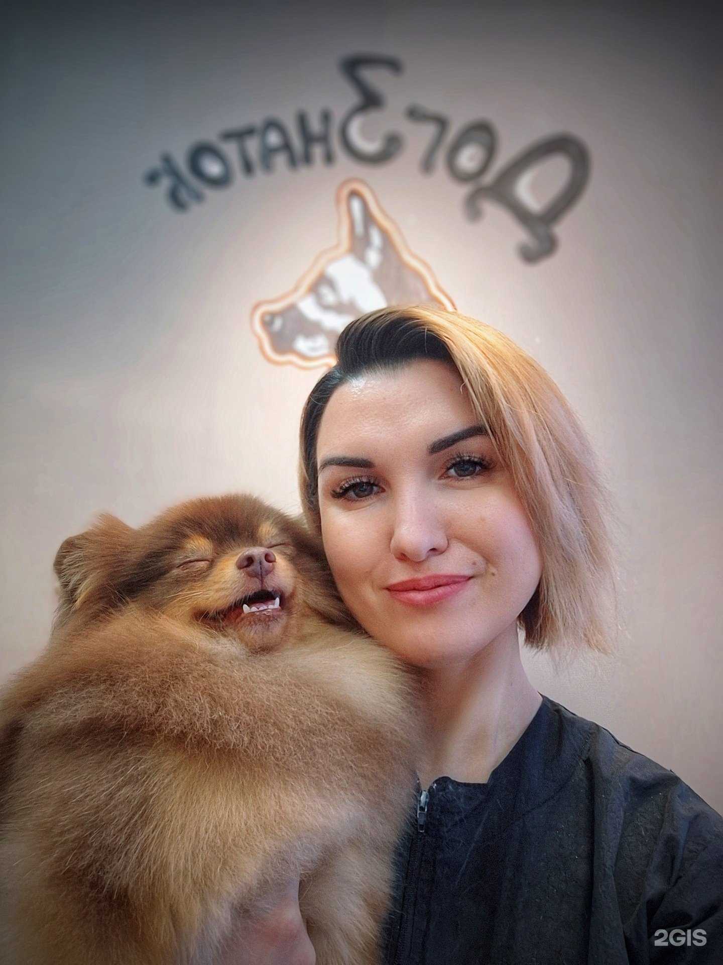 Отзывы на компанию ДогЗнаток в Набережных Челнах c фото