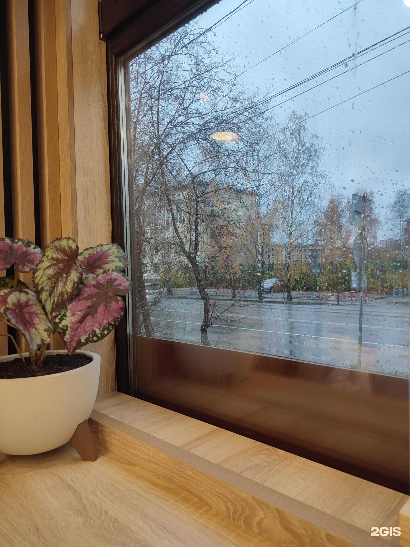 Отзывы на компанию Русские блины в Новосибирске c фото