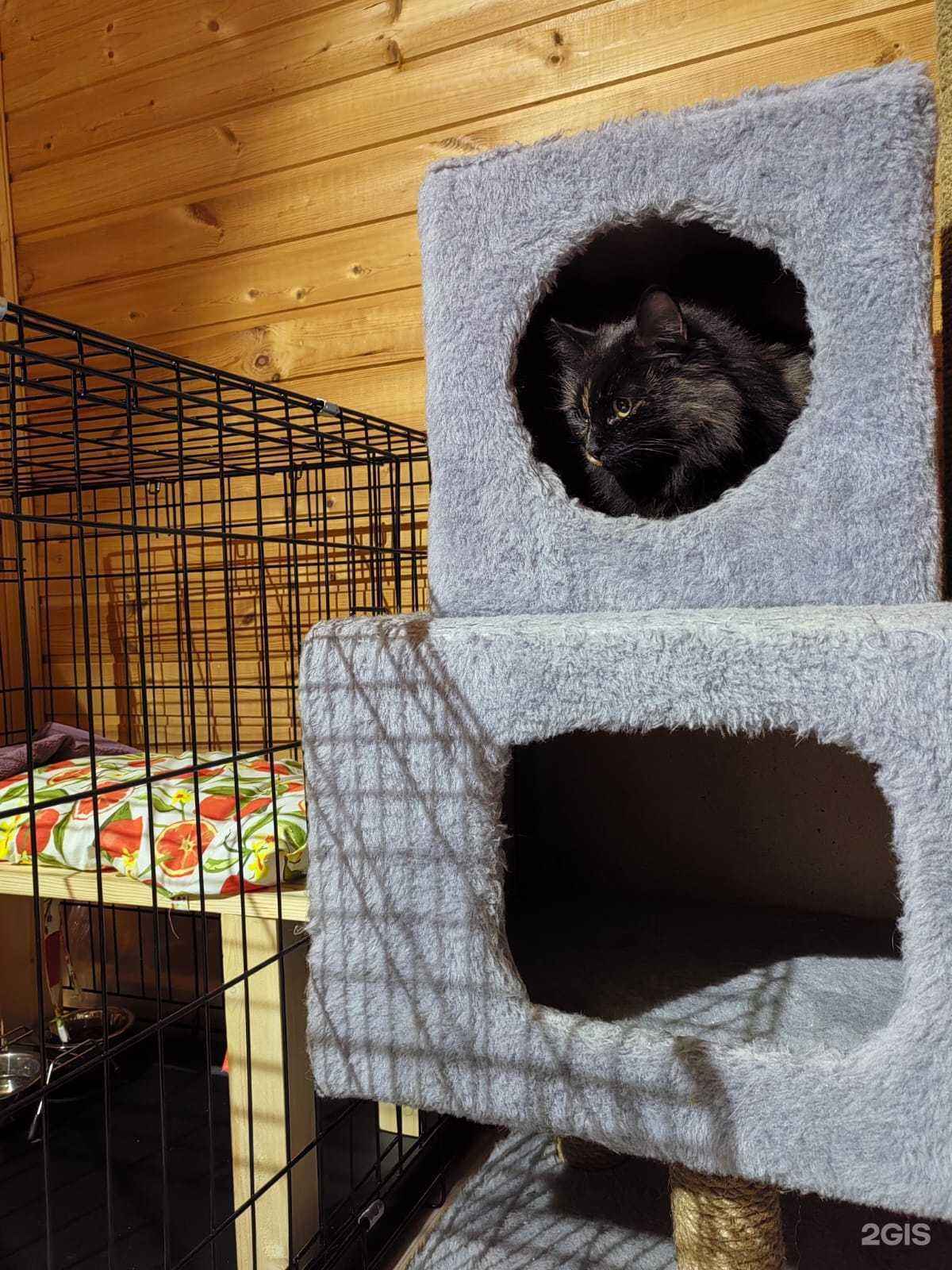 Отзывы на компанию Я и Кот в г. Тула c фото