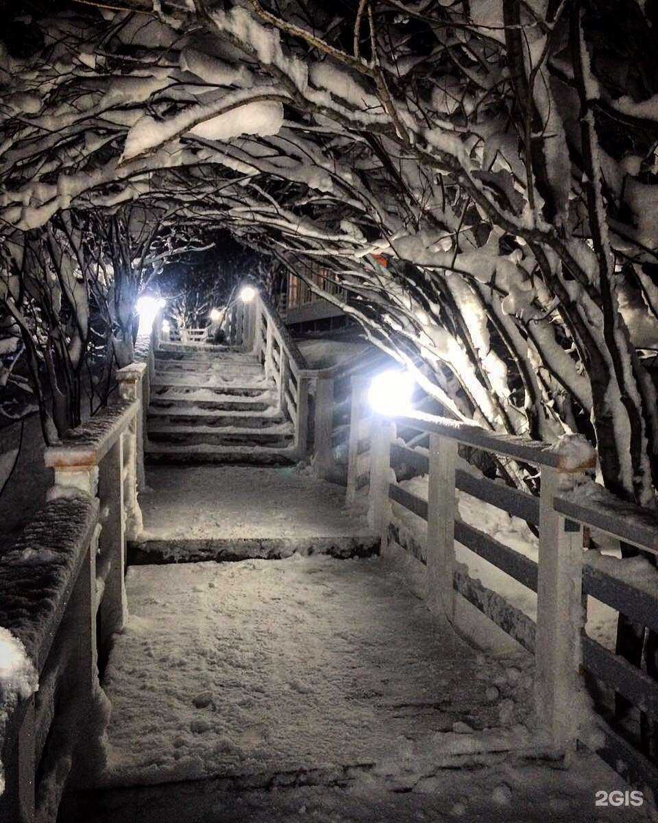 Отзывы на компанию Долина-Сканди в Мурманске c фото