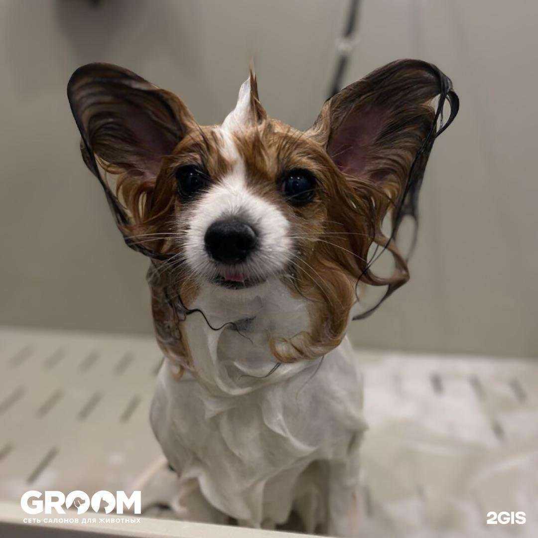 Отзывы на компанию Groom в г. Красноярск c фото