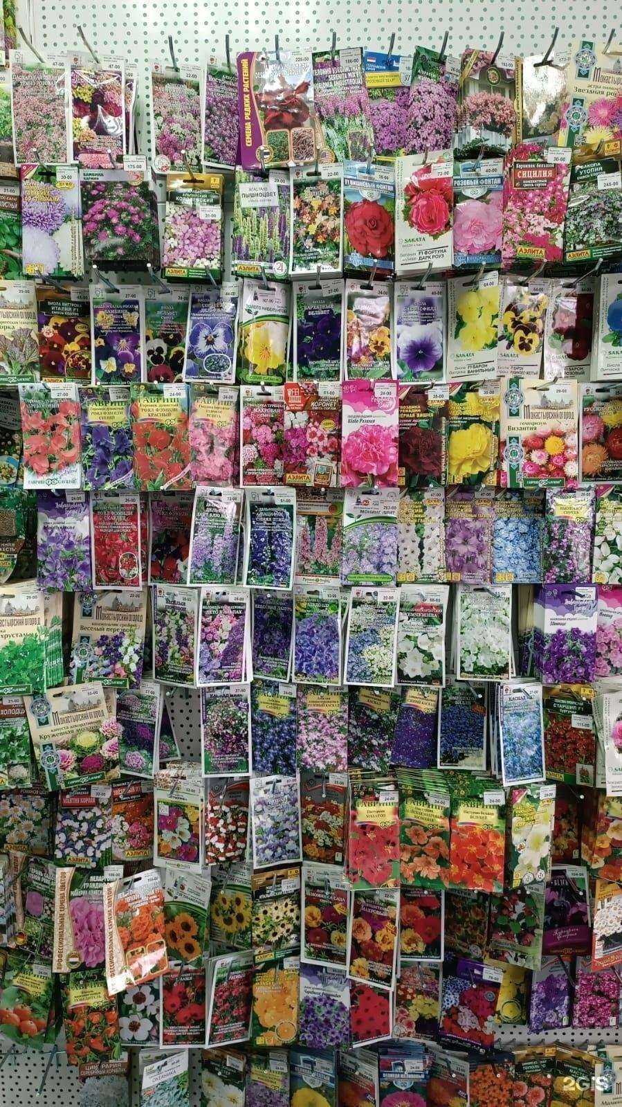 Отзывы на компанию Авиценна в Саяногорске c фото