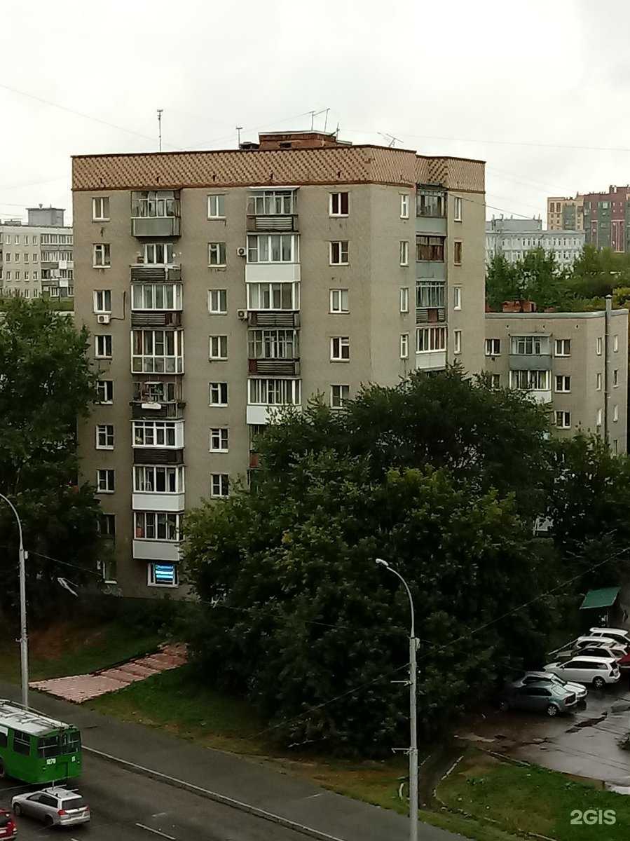 Отзывы на компанию POGOLOVNO в Новосибирске c фото - фотография 2 из 2