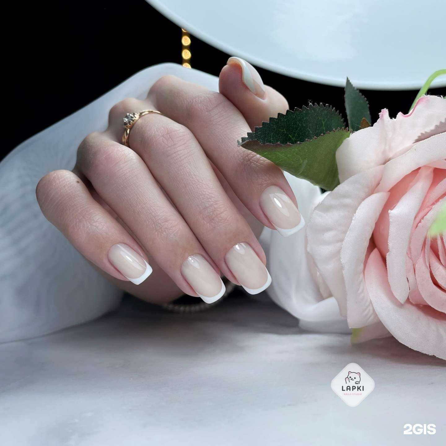 Отзывы на компанию Lapki в Новосибирске c фото