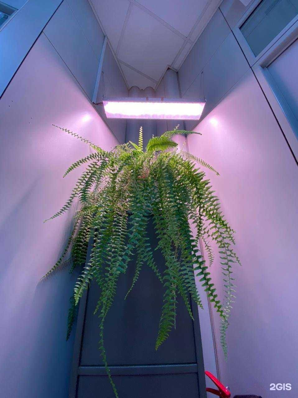 Отзывы на компанию Горизонт в г. Екатеринбург c фото