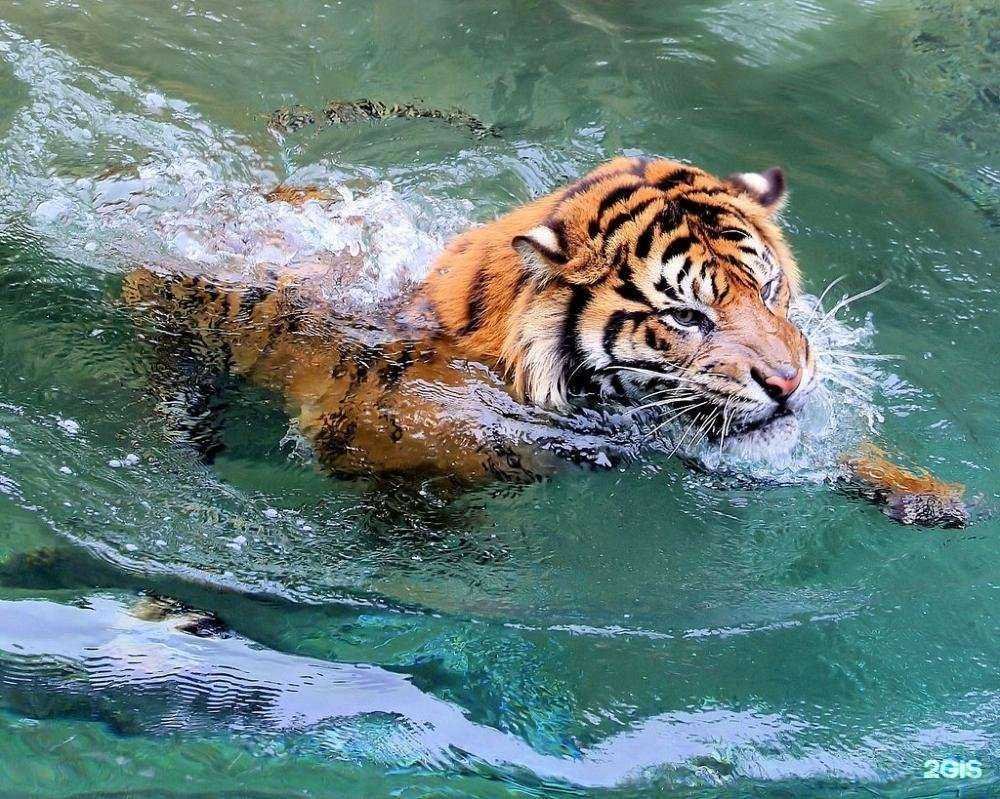 Отзывы на компанию Детская библиотека №14 им. А.П. Гайдара в Орле c фото