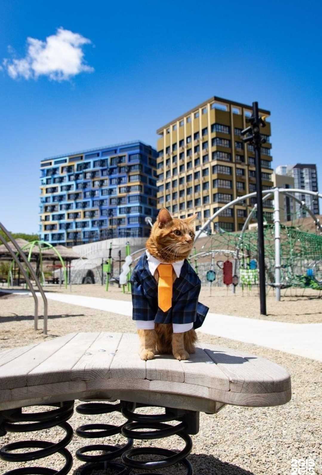 Отзывы на компанию Земляки в Иркутске c фото