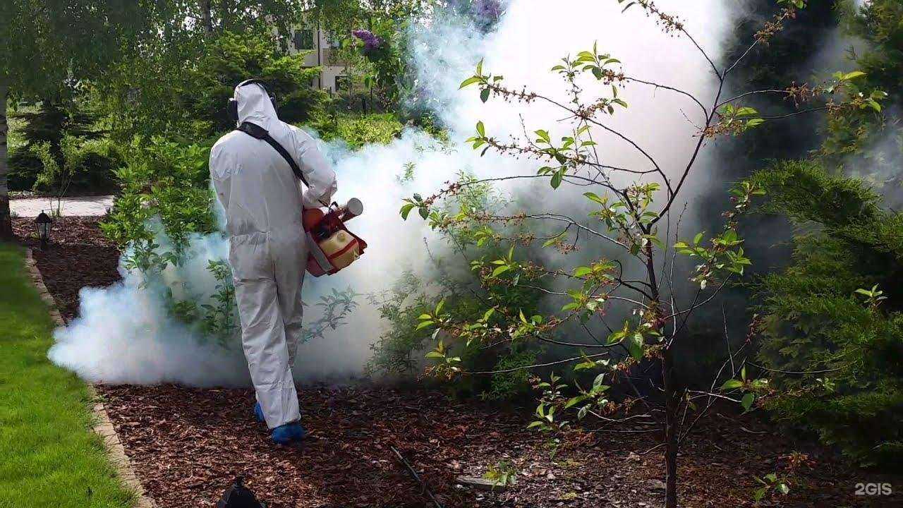 Отзывы на компанию ДезоСтанция в Уфе c фото