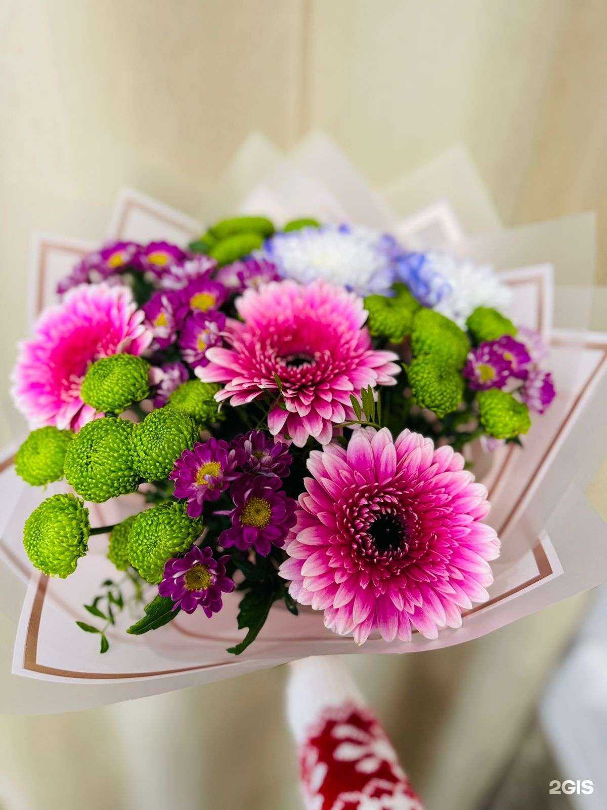 Отзывы на компанию Лотос в Елабуге c фото