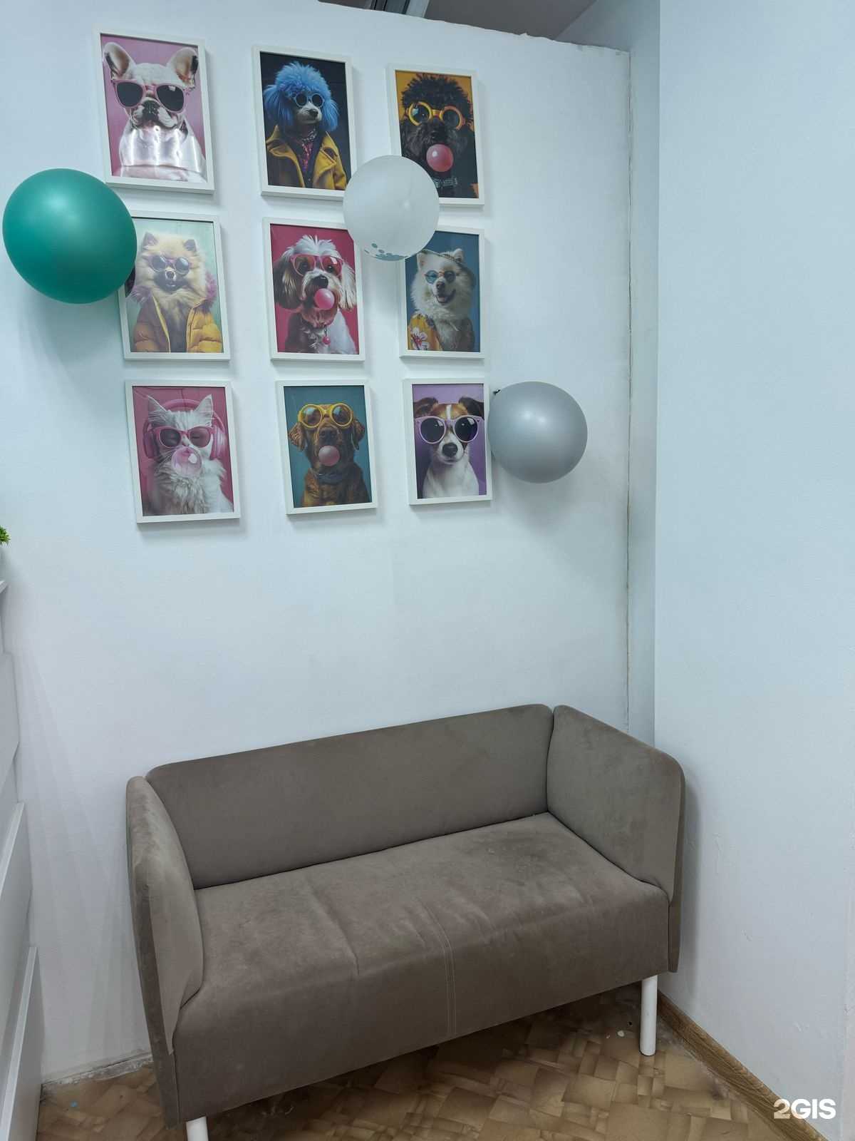 Отзывы на компанию Malteze groom в Ростове-на-Дону c фото