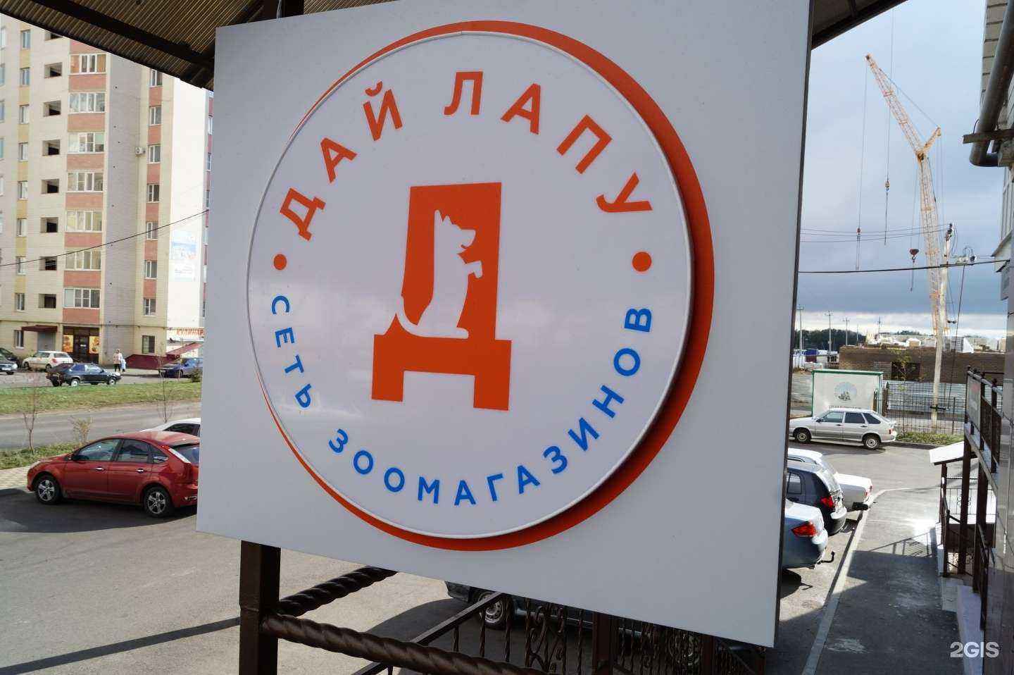 Отзывы на компанию Дай Лапу в Ставрополе c фото