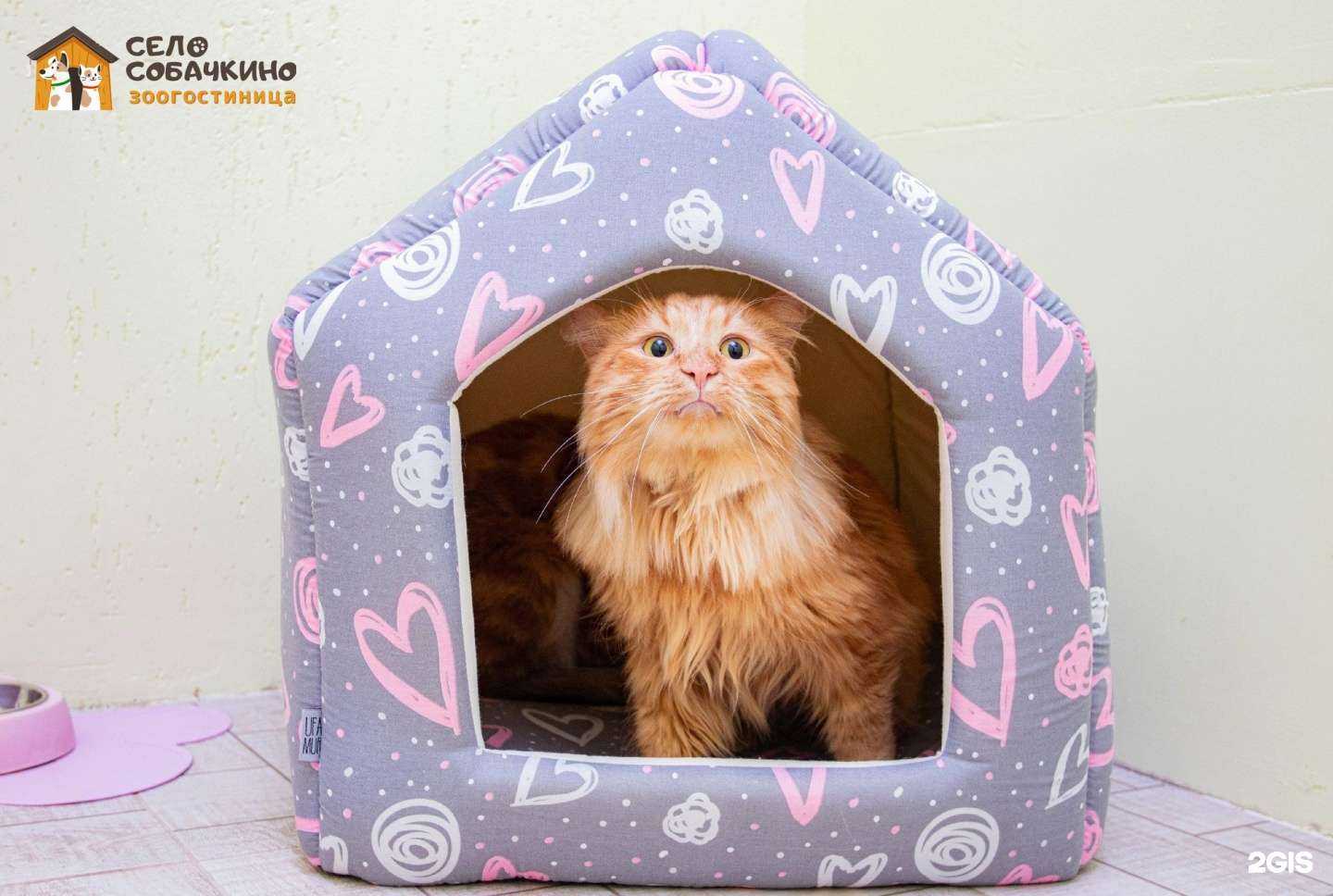 Отзывы на компанию Село Собачкино в г. Чебоксары c фото