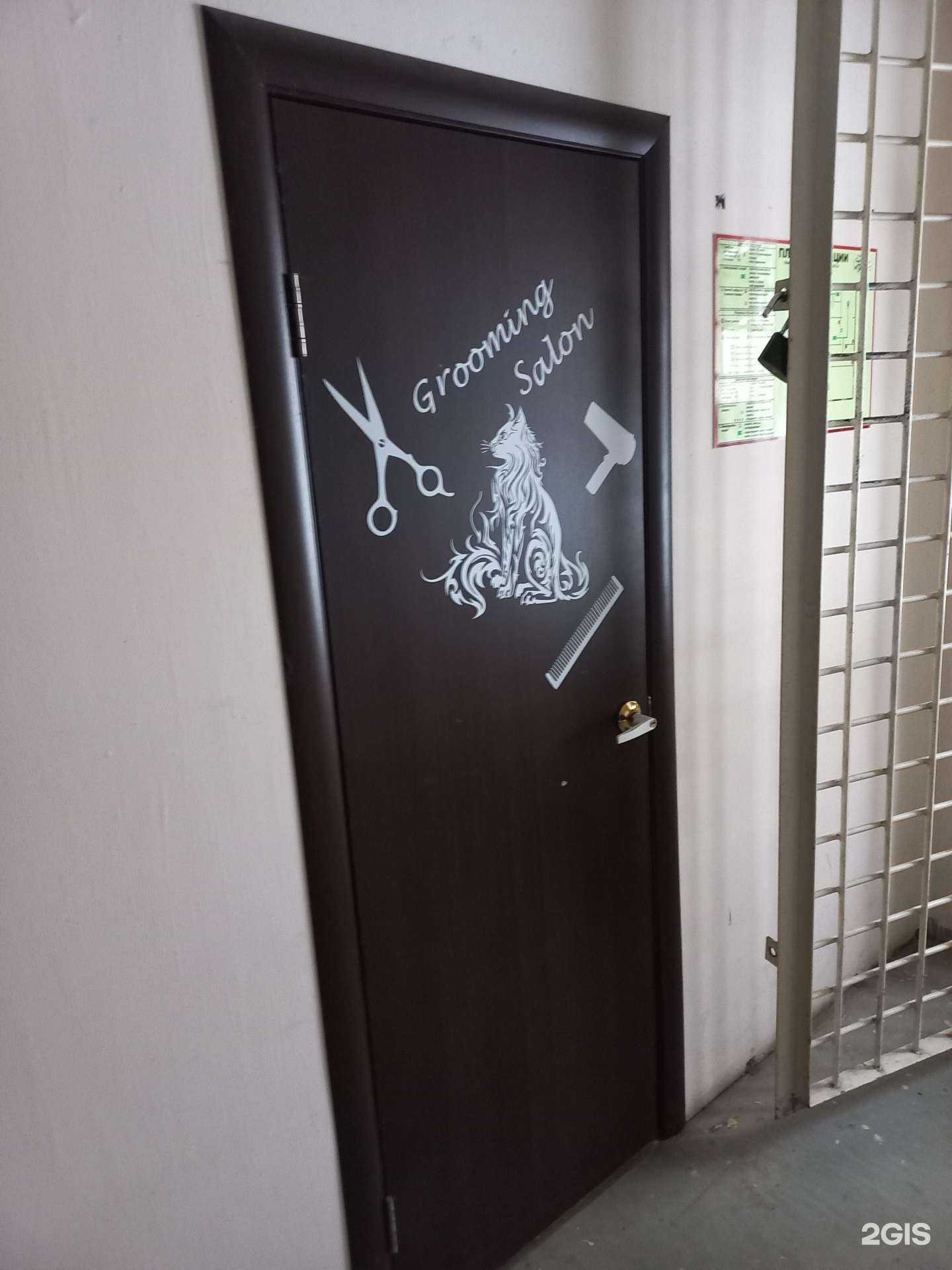 Отзывы на компанию Груминг-салон в г. Самара c фото