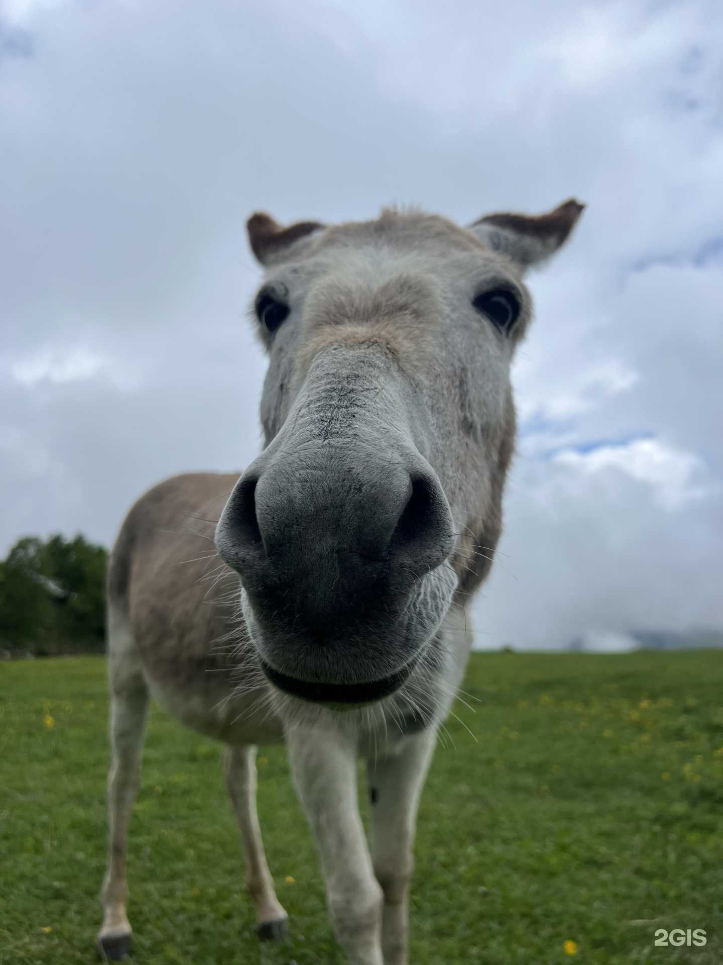 Отзывы на компанию Третий парк в Махачкале c фото