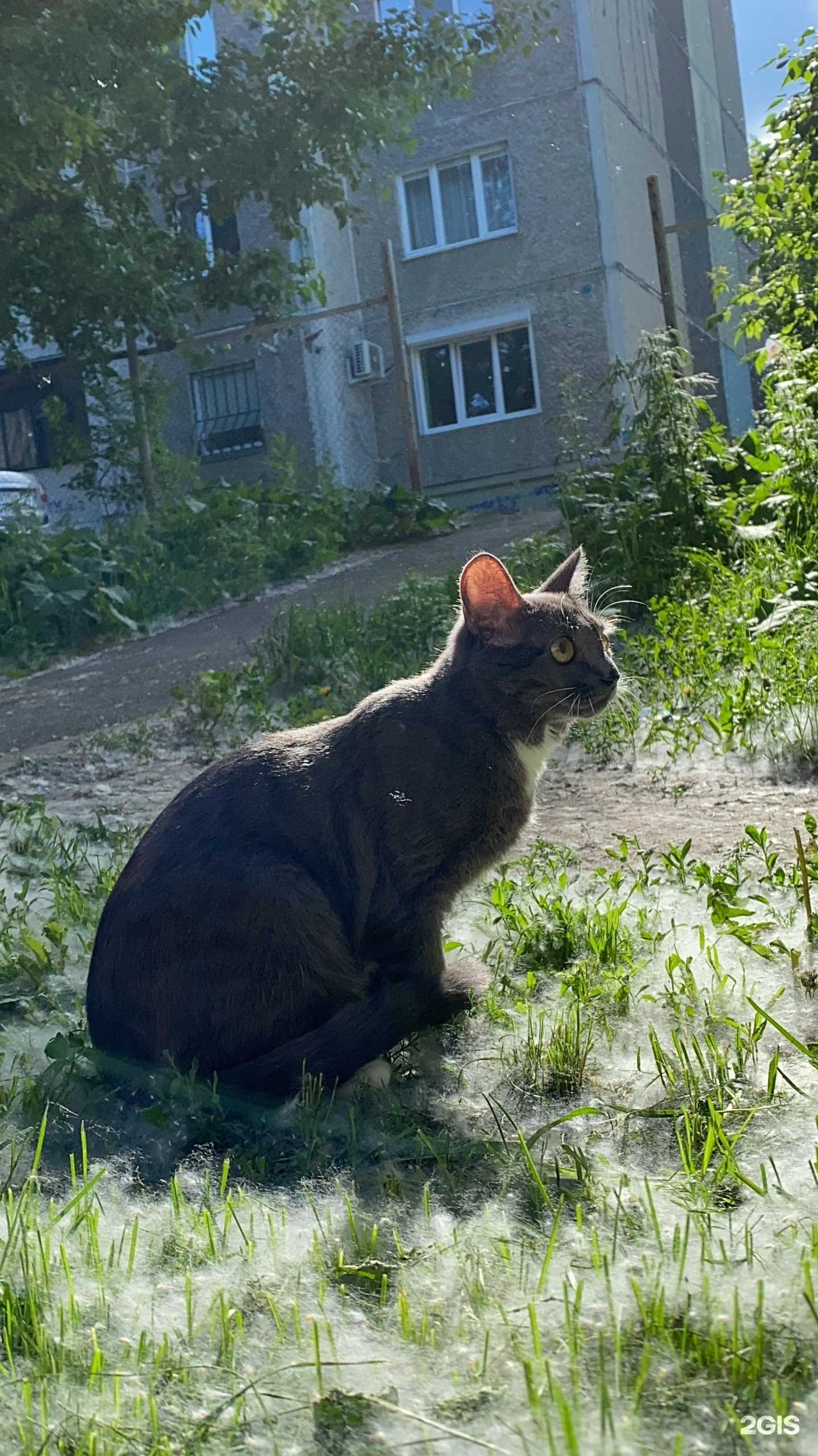 Отзывы на компанию Доберман в Челябинске c фото