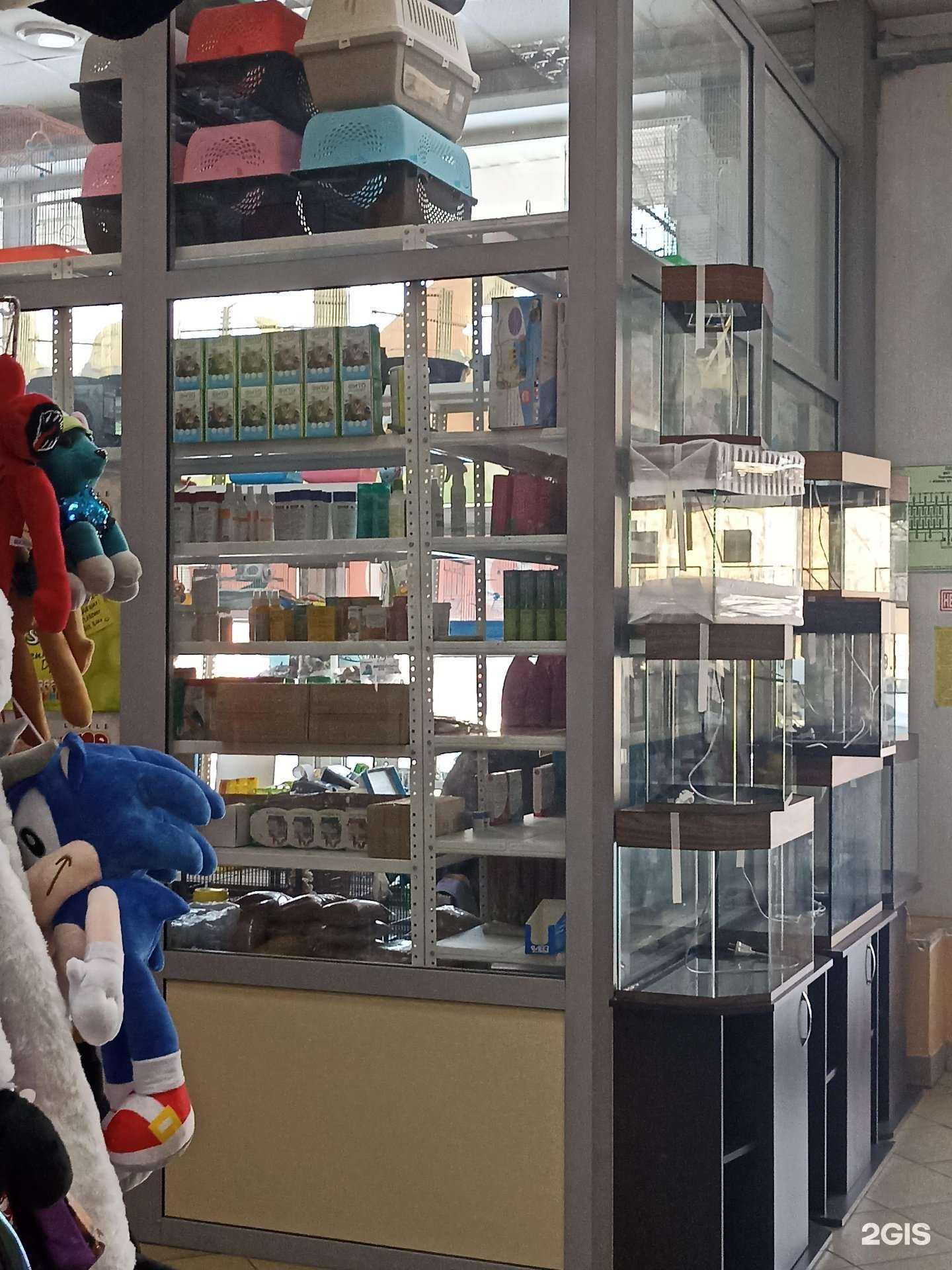 Отзывы на компанию Магазин зоотоваров в Абакане c фото