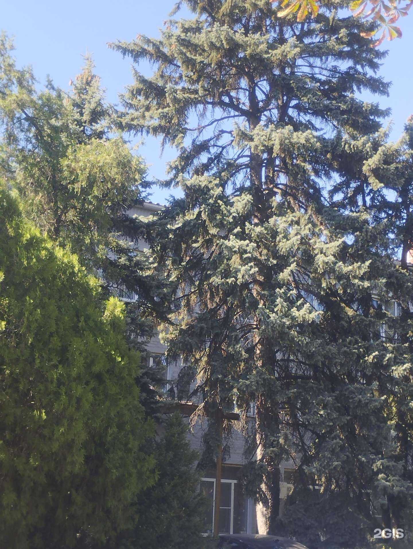 Отзывы на компанию Аксиома в г. Ростов-на-Дону c фото