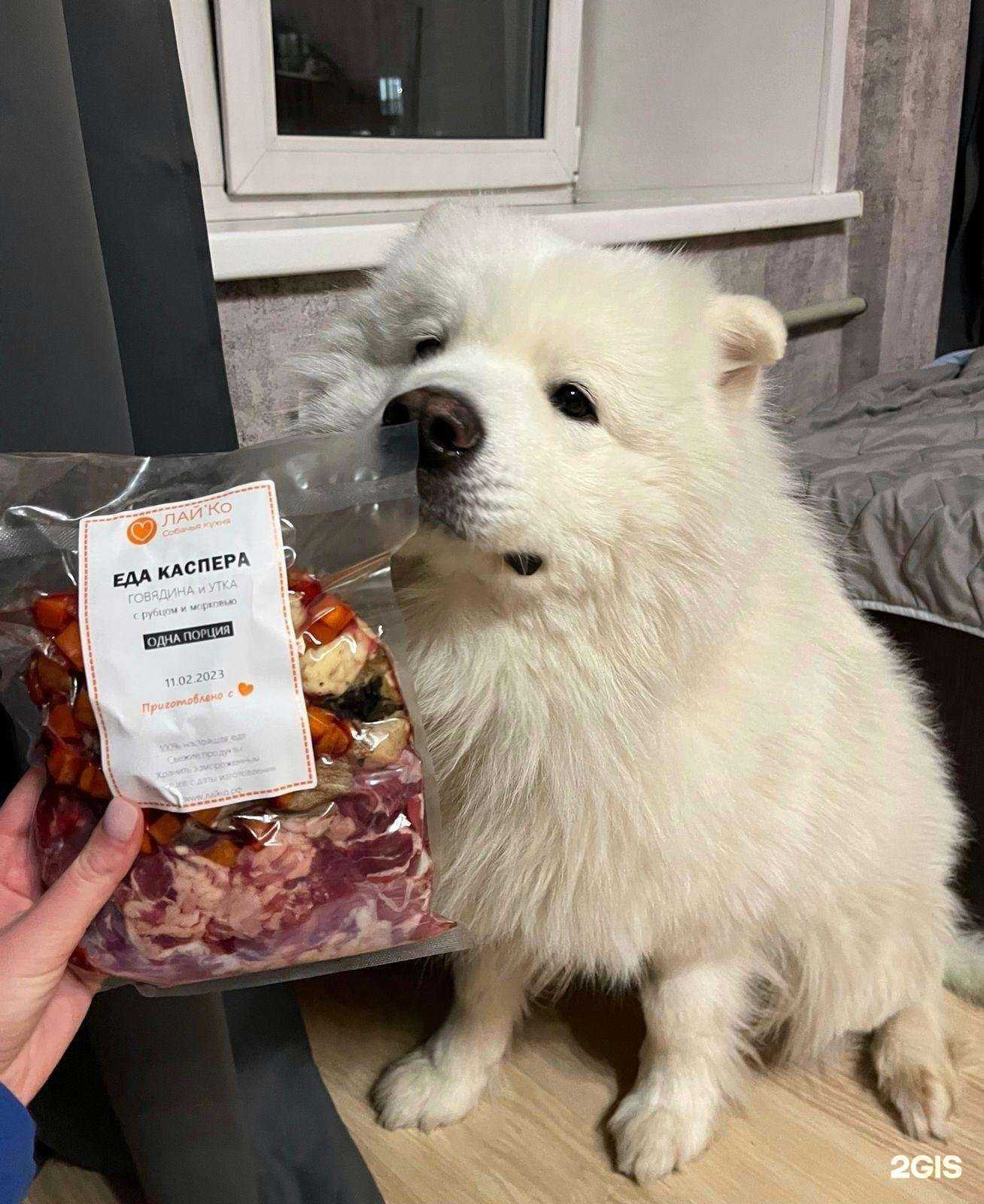 Отзывы на компанию Едавмиски в г. Новосибирск c фото