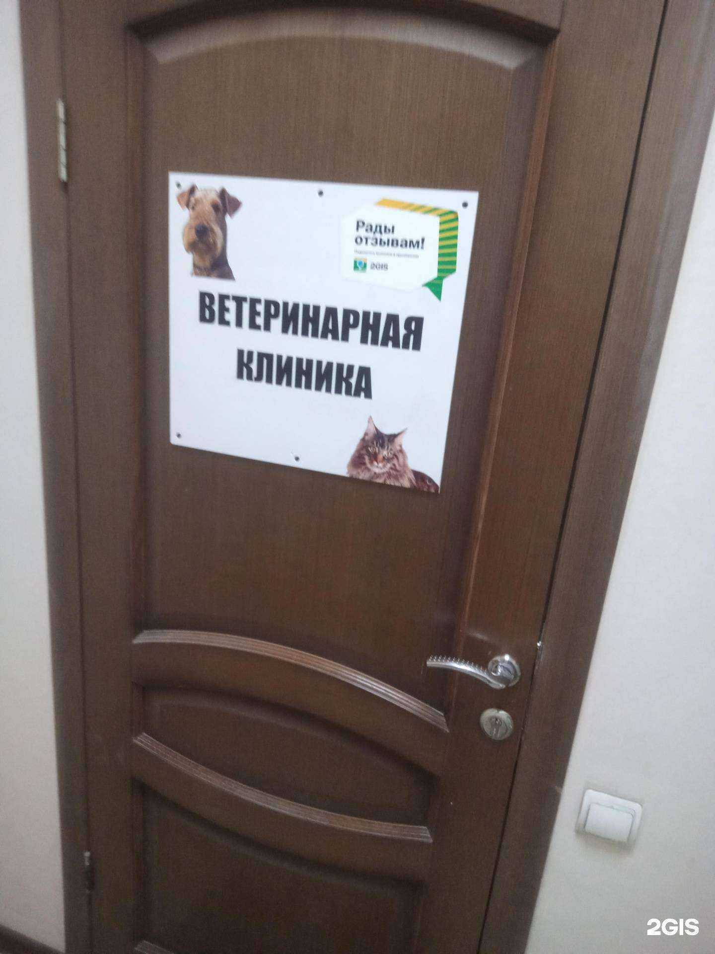 Отзывы на компанию Неотложная Ветеринарная Служба в Ростове-на-Дону c фото