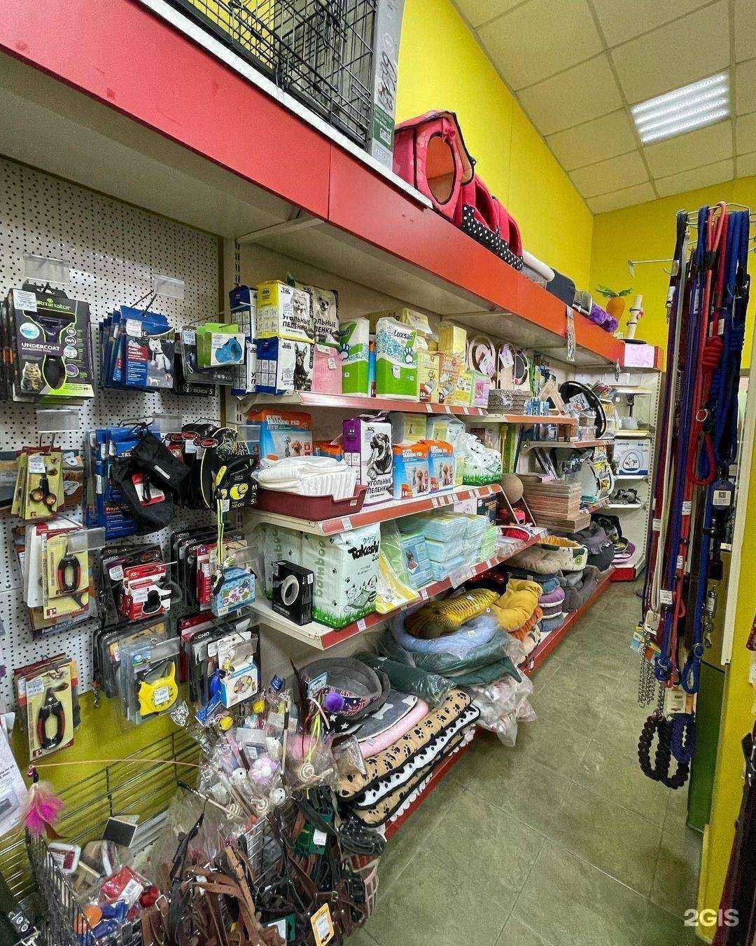 Отзывы на компанию Тимон и Пумба в Артёме c фото