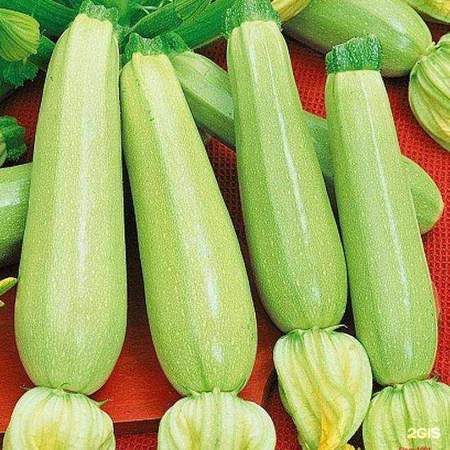 Отзывы на компанию Ландшафт в г. Пенза c фото