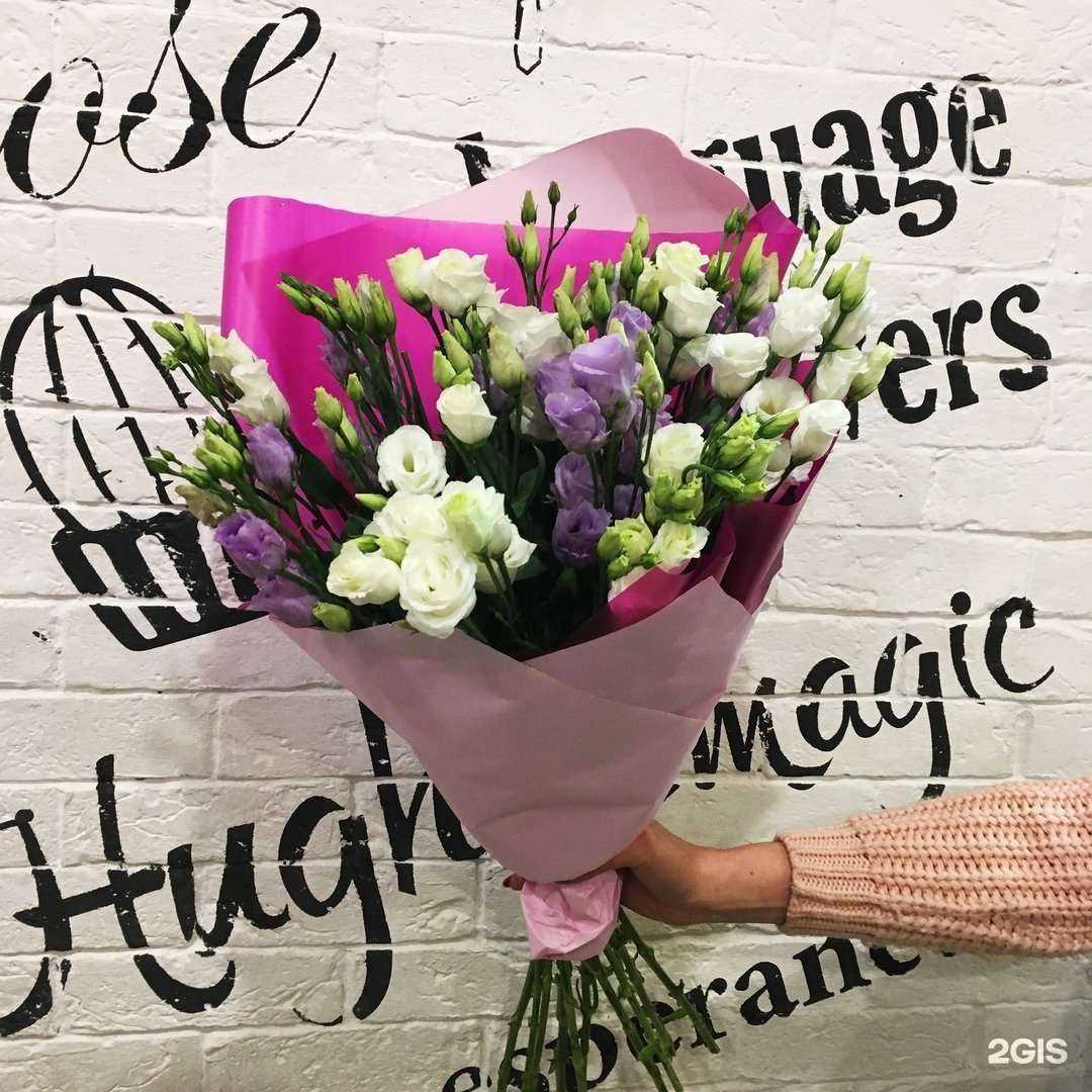 Отзывы на компанию Кактус в Омске c фото