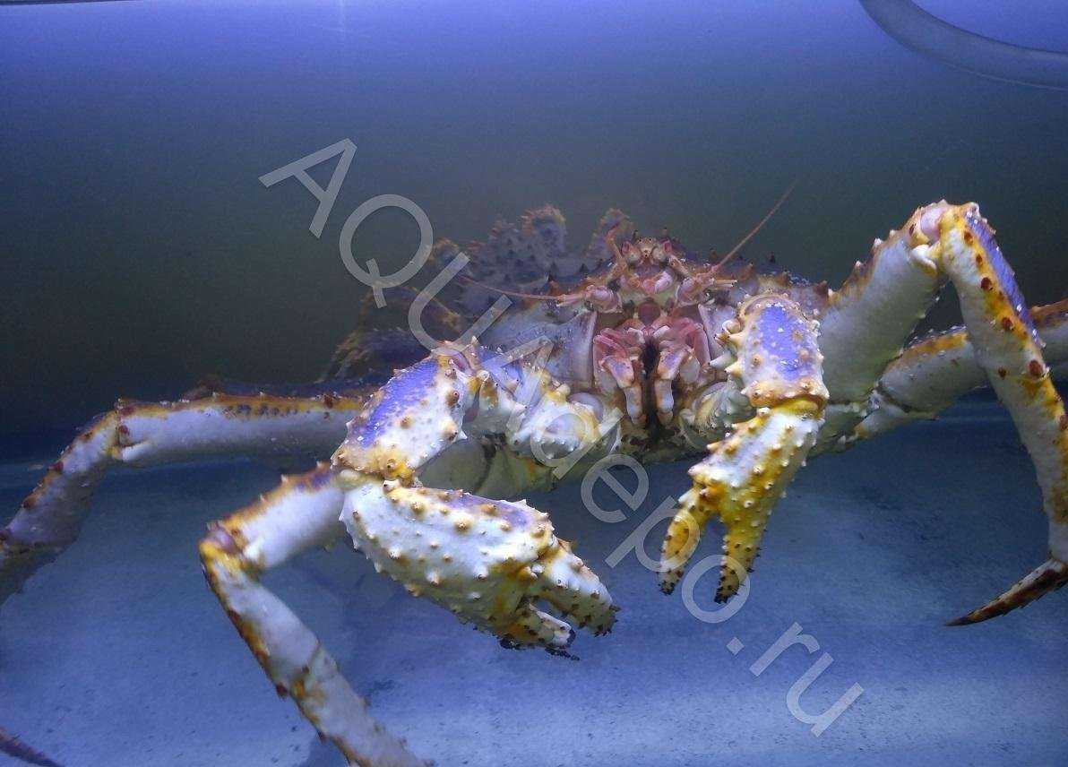 Отзывы на компанию Аквадепо в г. Долгопрудный c фото